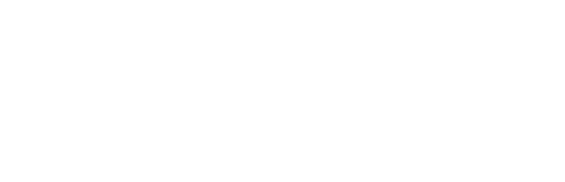 Logo Bannière NAX Site